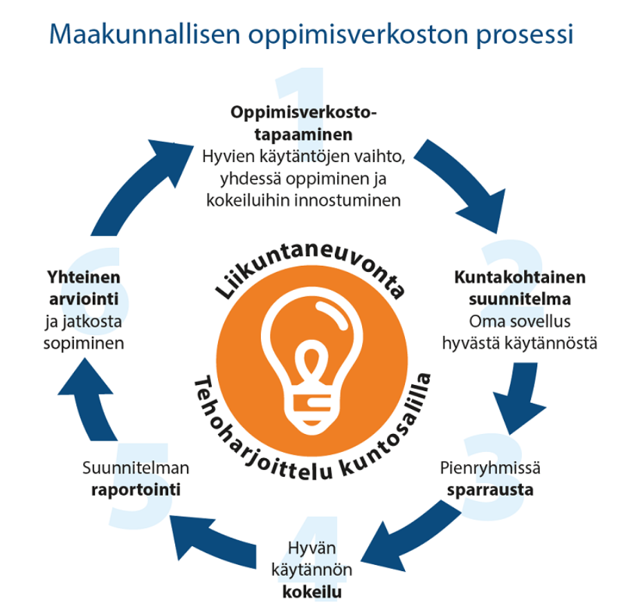 Oivalluksia Voimaa vanhuuteen -oppimisverkostoissa