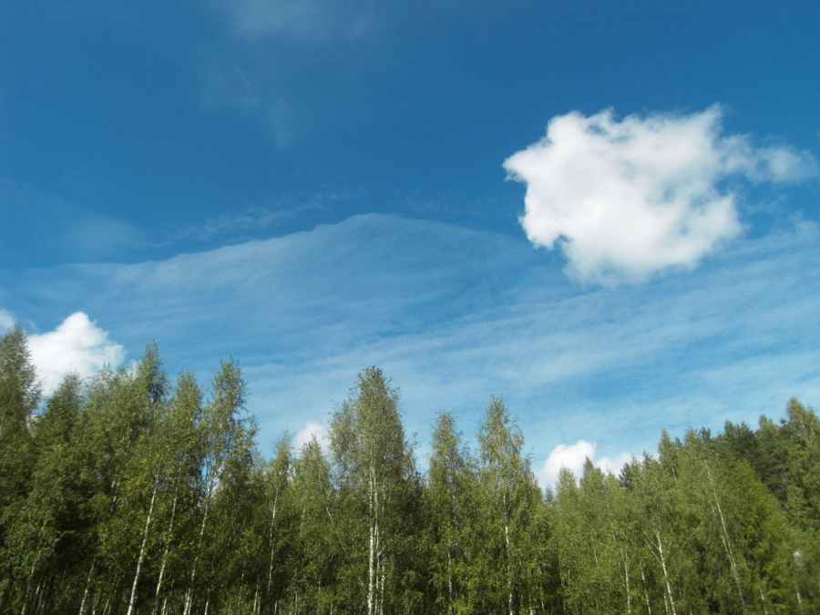 Verkkokaupan toimitukset kesätauolla 24.6.-9.8.