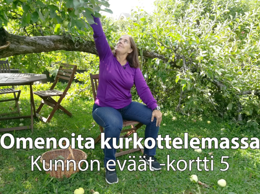 Virtuaalimatka Kunnon eväät -jumppavideoilla