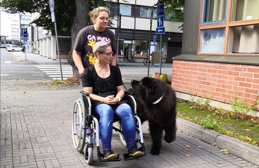 Koirat tuovat ulkoiluystävätoimintaan uutta virtaa
