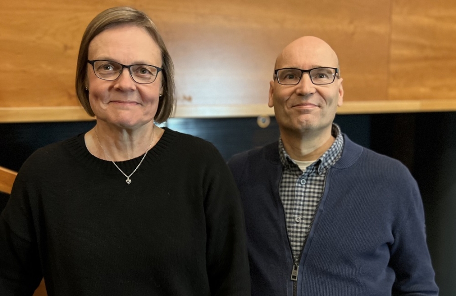 Ikäystävällisyys kuntien hyvinvointikertomuksissa