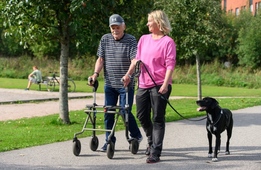 Koirista virtaa ulkoiluystävätoimintaan