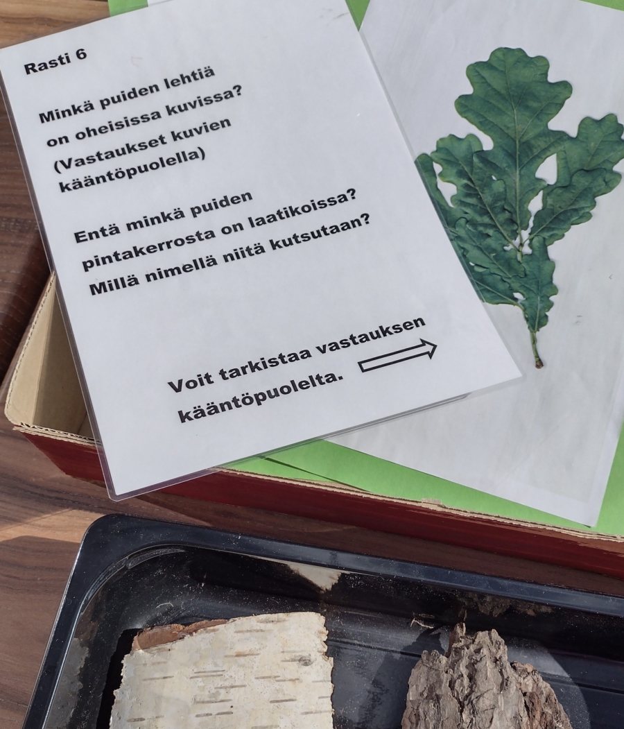 Rastirata
