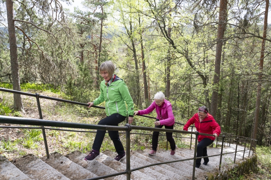 Voimaa vanhuuteen -toiminta laajenee Länsi-Uudellemaalle ja Satakuntaan