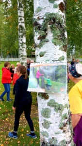 Iso koivu jossa liikeohjeita, ihmisiä metsikössä liikkumassa.